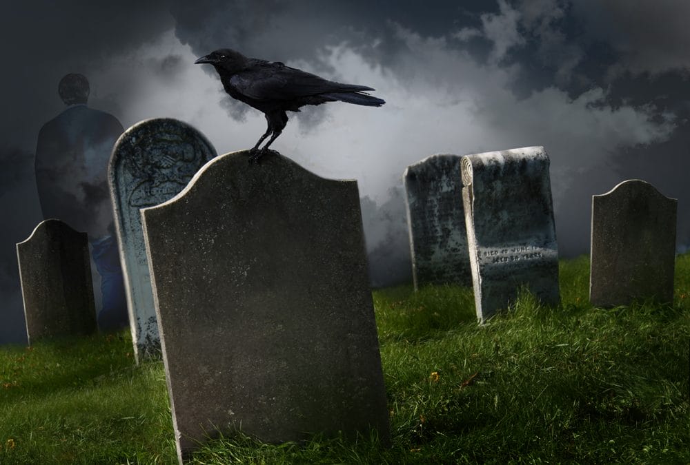 Lessons from a Graveyard
